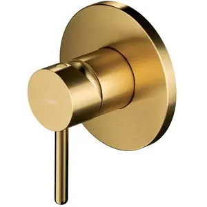 OMNIRES Y Mitigeur monocommande, pour douche, Y1245GLB, pas cher