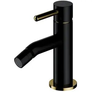 OMNIRES Y Mitigeur de bidet, Y1220BLGL, pas cher