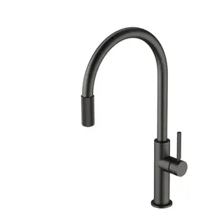 Omnires SW9057-FD1GR Switch Robinet de Cuisine avec Jeu de filtres, GraphiteVendu paramazon