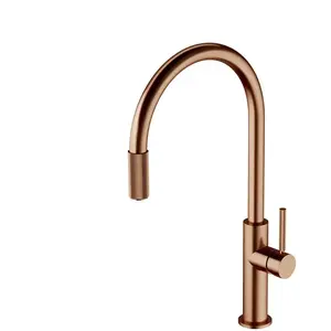 Omnires SW9057-FD1CPB Switch Robinet de Cuisine avec Jeu de filtres, Copper pas cher