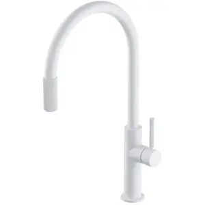 Omnires SW9057-FD1WM Switch Robinet de Cuisine avec Jeu de filtres, White pas cher