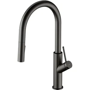 OMNIRES BEND Mitigeur de cuisine, extractible, pivotant, BE6455GR, pas cher