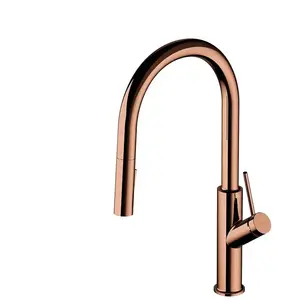 OMNIRES BEND Mitigeur de cuisine, extractible, pivotant, BE6455CP, pas cher