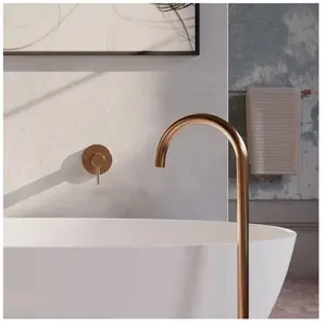 OMNIRES Y Mitigeur monocommande, pour douche, Y1245CPB, pas cher