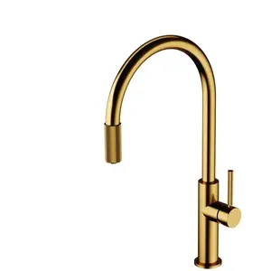 Omnires SW9057GLB Switch Robinet de Cuisine avec raccord de Filtre, Gold pas cher