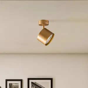 Argon Spot pour plafond Chloe réglable à 1 lampe, doré pas cher
