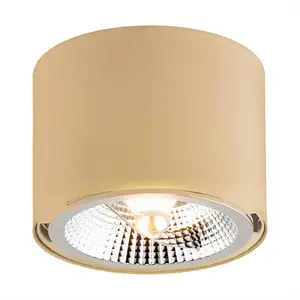 Argon Spot pour plafond Chloe fixe, doré pas cher