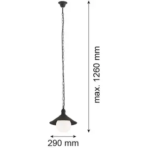 Argon Suspension d'extérieur Enduro, noir, acier, verre, IP44, E27Vendu parluminaire