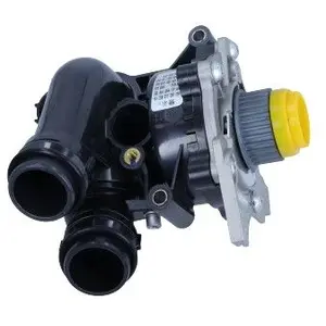 Maxgear Pompe à eau 470250 pas cher