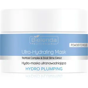 Bielenda Professional Hydro Plumping masque hydratant pour la régénéra...