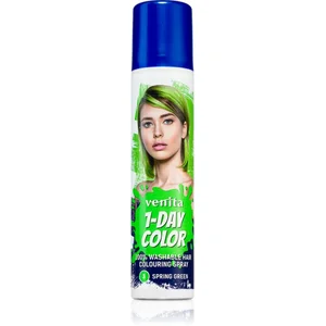 Venita 1-DAY-COLOR Spray Couleur Temporaire pour Cheveux. Vert (Green) pas cher