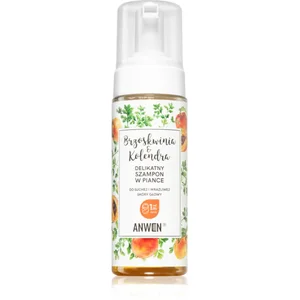 Comparateur de prix : Anwen Peach & Coriander mousse nettoyante pour cuir chevelu sec et sensible 170 ml