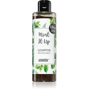 Comparateur de prix : ANWEN_Mint It Up szampon peelinguj¹cy do w³osów 200ml