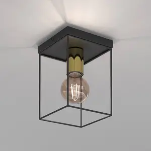 Comparateur de prix : Luminex Plafonnier Anna avec cadre métallique, à 1 lampe