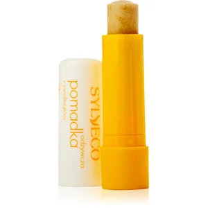 Syveco Sylveco Lip Care baume à lèvres effet exfoliant 4,6 g pas cher
