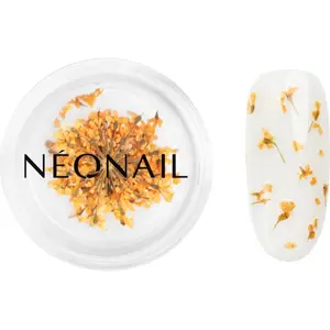 Comparateur de prix : NEONAIL Dried Flowers fleur séchée ongles teinte Orange 1 pcs