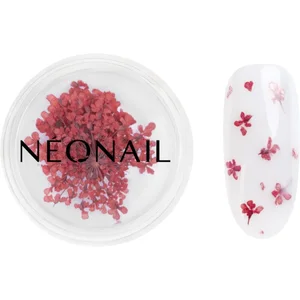 NEONAIL Dried Flowers fleur séchée ongles teinte 08 Red 1 pcsVendu parnotino