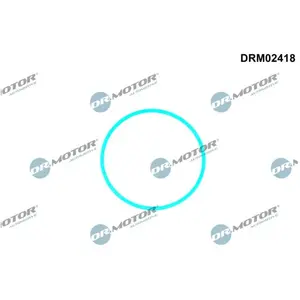 Joint De Pompe À Carburant Volvo Dr. Motor Drm02418 pas cher