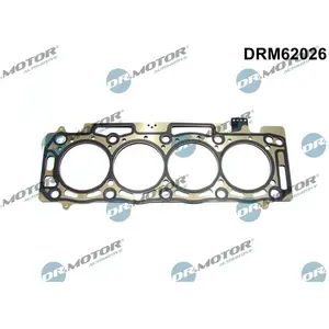 Lizarte, S.A. Joint de culasse pour DS: DS4, DS7, DS5 & PEUGEOT: 5008,... pas cher