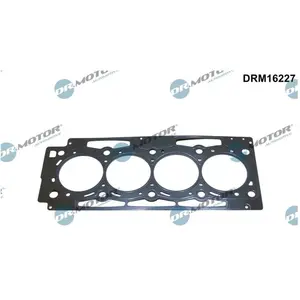 Joint De Culasse Dr. Motor Drm16227 Citroën; Peugeot pas cher