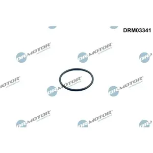 DR.MOTOR AUTOMOTIVE DRM03341 Joint d'étanchéité, thermostat pas cher