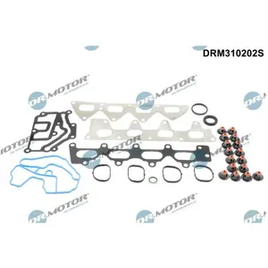 Jeu De Joints, Culasse Dacia; Nissan; Renault Dr. Motor Drm310202s pas cher