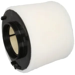 Filtre à air FILTRON AK 376/2 pas cher