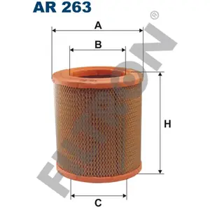 FILTRON Filtre à air AR263 pas cher