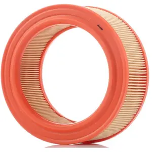 Filtron Filtre à air AR235 pas cher
