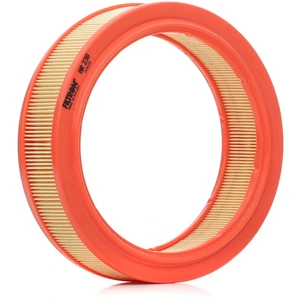 Filtron Filtre à air ar230 pas cher