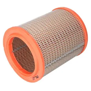 Filtron Filtre à air ar231 pas cher