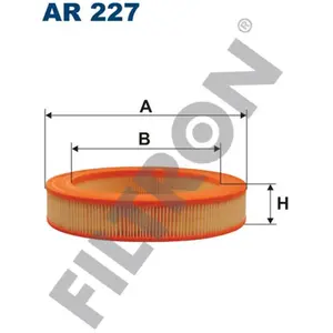 Filtre à air FILTRON AR227 pas cher