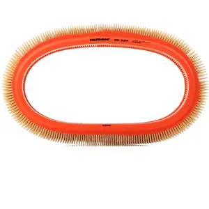 Filtron Filtre à air AR229 pas cher