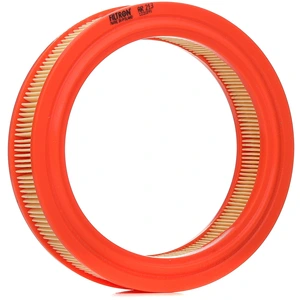 Filtron Filtre à air ar213