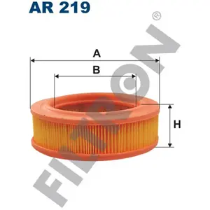 Filtron Filtre à air ar219