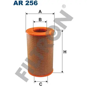 Filtron Filtre à air ar256 pas cher