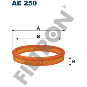Filtron Filtre à air ae250