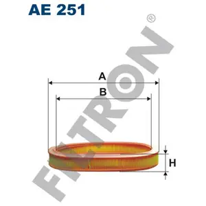 Filtron Filtre à air ae251