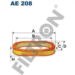 Filtron Filtre à air AE208 pas cher