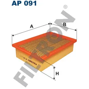 Filtron Filtre à air ap091