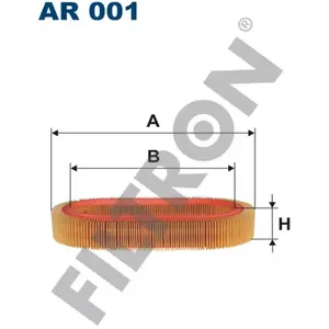 Filtron Filtre à air AR001