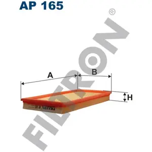 Filtron Filtre à air ap165