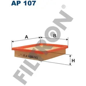 Filtron Filtre à air ap107