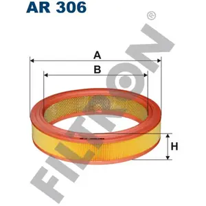 Filtre à air FILTRON AR306 pas cher