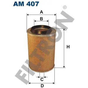 FILTRON Filtre à air AM407 pas cher