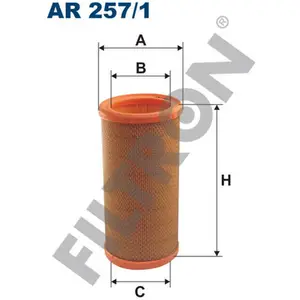 Filtron Filtre à air, ar257/1