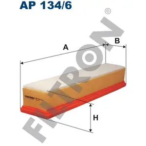 Filtron Filtre à air AP134/6 pas cher