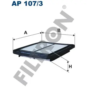 Filtron Filtre à air pour Auto, Chaussette Filtre, ap1073 pas cher