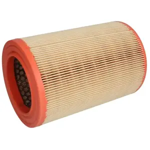 Filtron Filtre à air, ar234/5 pas cher