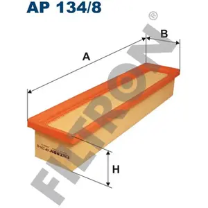Filtron Filtre à air, AP134/8